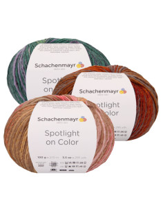 Spotlight on Color - Schachenmayr